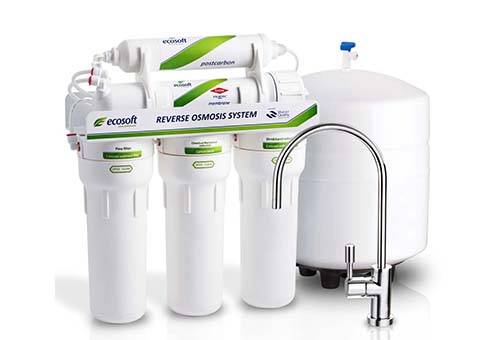 Reverse osmosis filter
