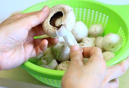 mushroom cleaning