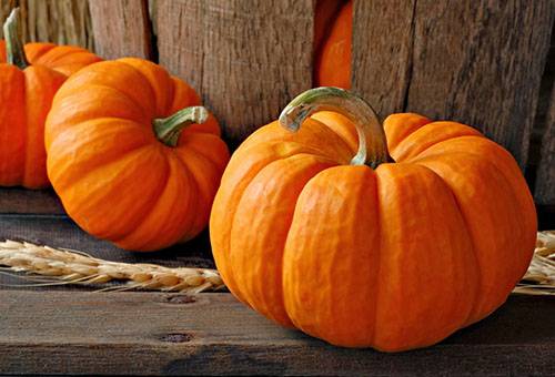 Fresh pumpkin