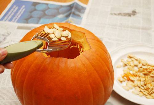 Extracting Pumpkin Seeds