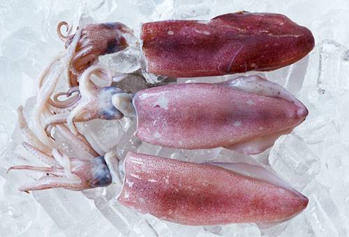Frozen squid