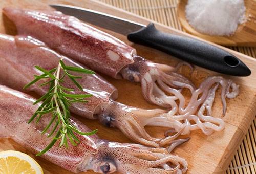Fresh squid