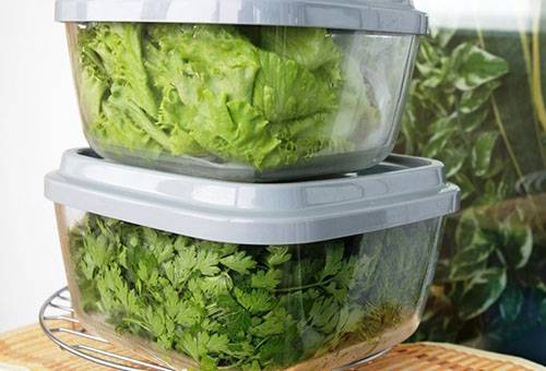 Greenery storage