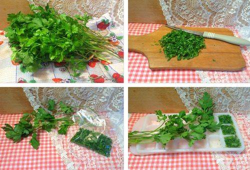 Parsley storage method 1