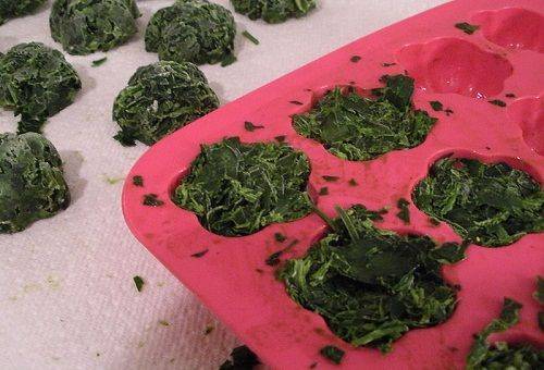 frozen parsley cubes