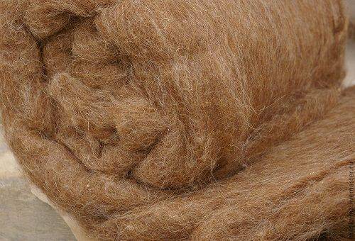 camel's wool