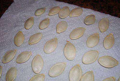 Natural drying of pumpkin seeds