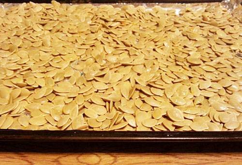 Drying pumpkin seeds in the oven