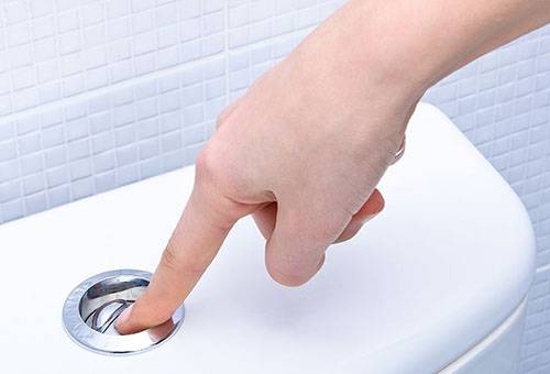 Button on the toilet bowl