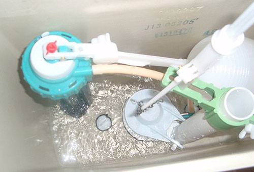 Water in the toilet bowl