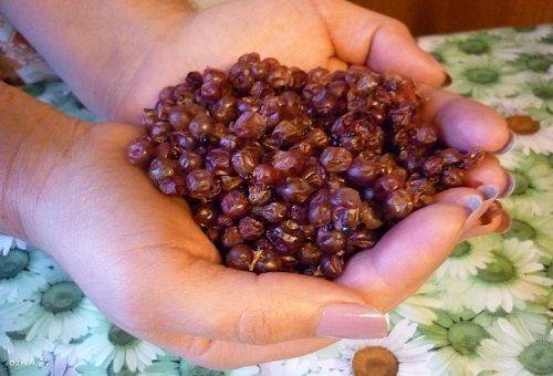 dried lingonberry