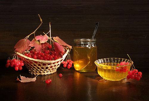 Viburnum vinegar