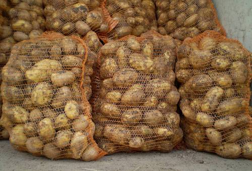 Potatoes in mesh bags