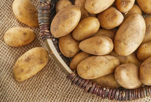 Potatoes in a basket