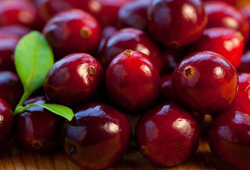 Fresh cranberries