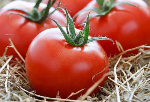 red tomatoes
