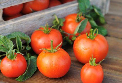 red tomatoes in a box