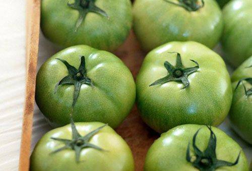 green tomatoes