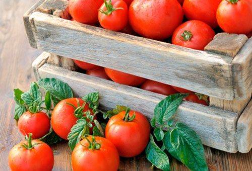ripe tomatoes in a crate