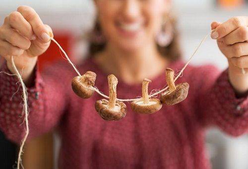 dried mushrooms