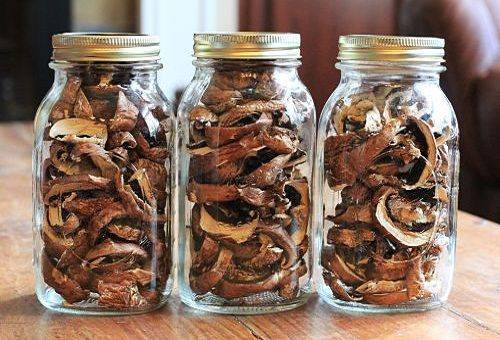 dried mushrooms in jars