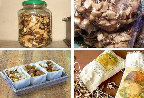 storage of dried mushrooms