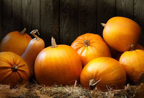 Pumpkins in the Barn