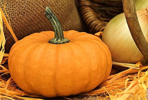 Storage of pumpkins in a private house