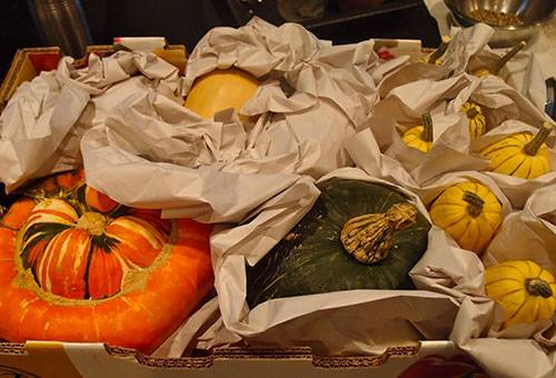 Pumpkin storage in a box