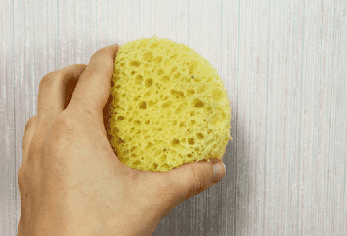 sponge cleaning