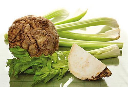 Celery