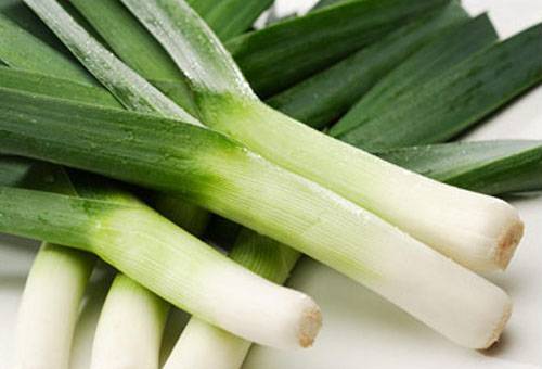Leek feather