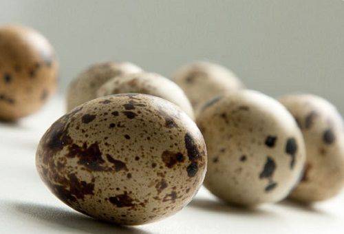 paipalu olas