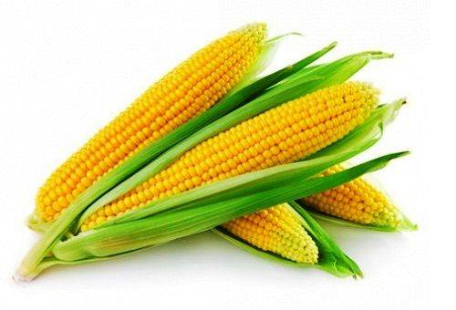 corn