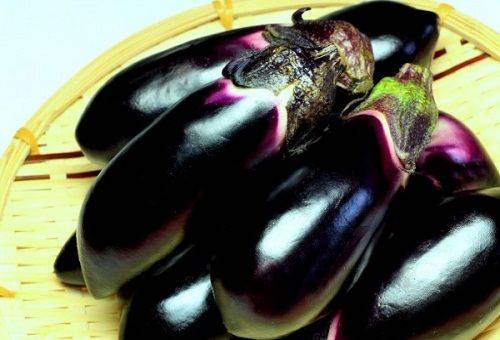 fresh eggplant