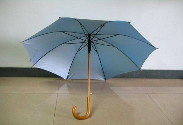 Umbrella