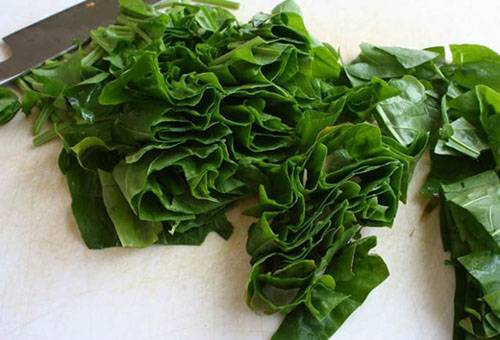 Chopped sorrel