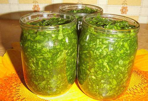 Sorrel salting in jars