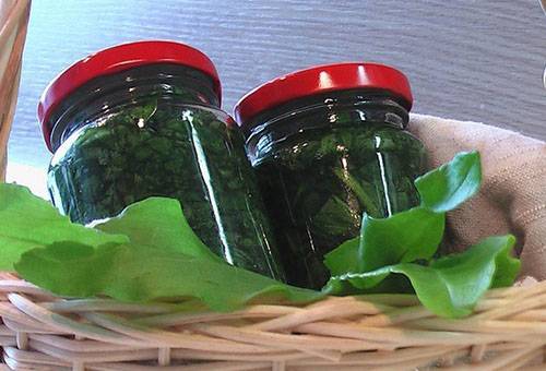 Canned Sorrel in Banks