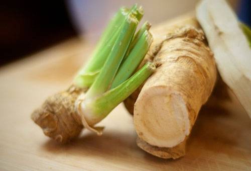 Horseradish root