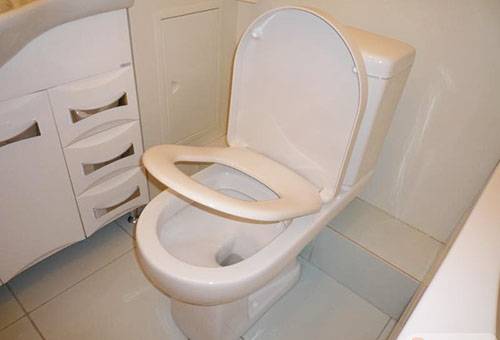 Toilet bowl