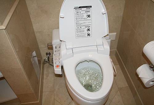 Water in the toilet bowl