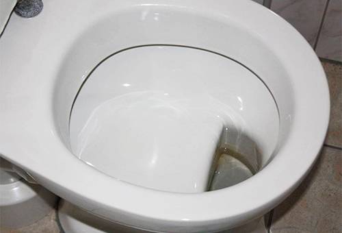 Toilet bowl with shelf