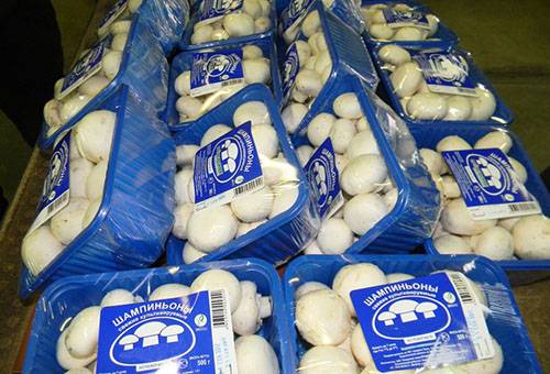 Hermetically sealed champignons