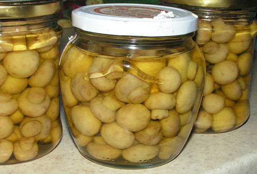 Pickled Mushrooms