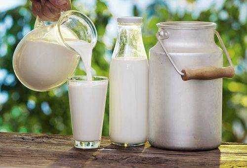 cow's milk