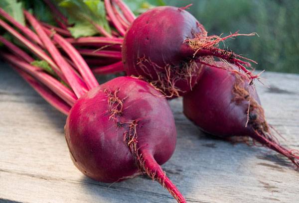 Fresh beets