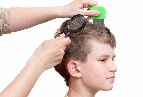 Lice treatment