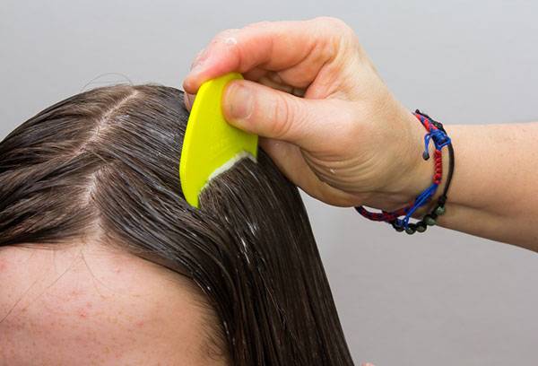 Applying a remedy for pediculosis on the hair