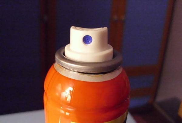 Insecticide spray can
